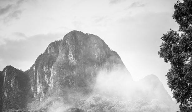 black and white and photo the rainforest of Langkawi its mountains