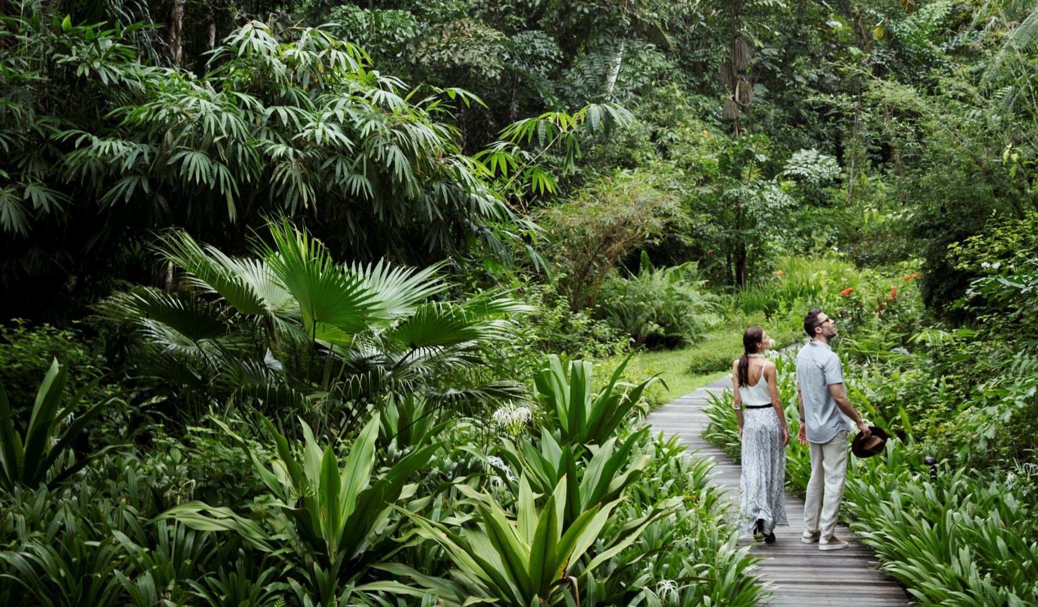 couple walking through a path through the resort surrounded by green rainforest 