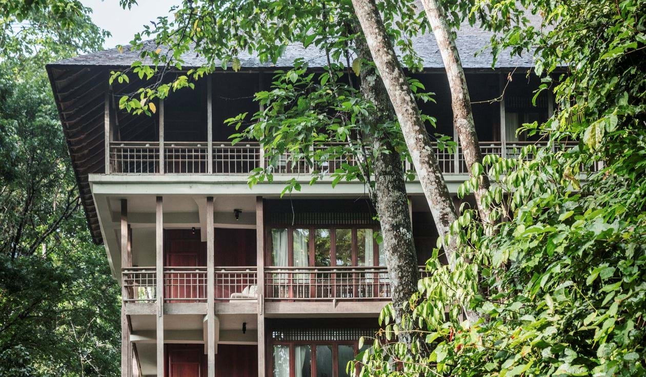 canopy collection building with multiple levels and balconies surrounded by green rainforest