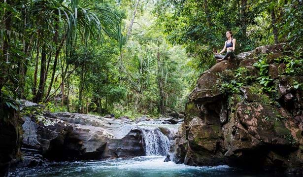 woman meditating on top of a rock next to a waterfall in the rainforest