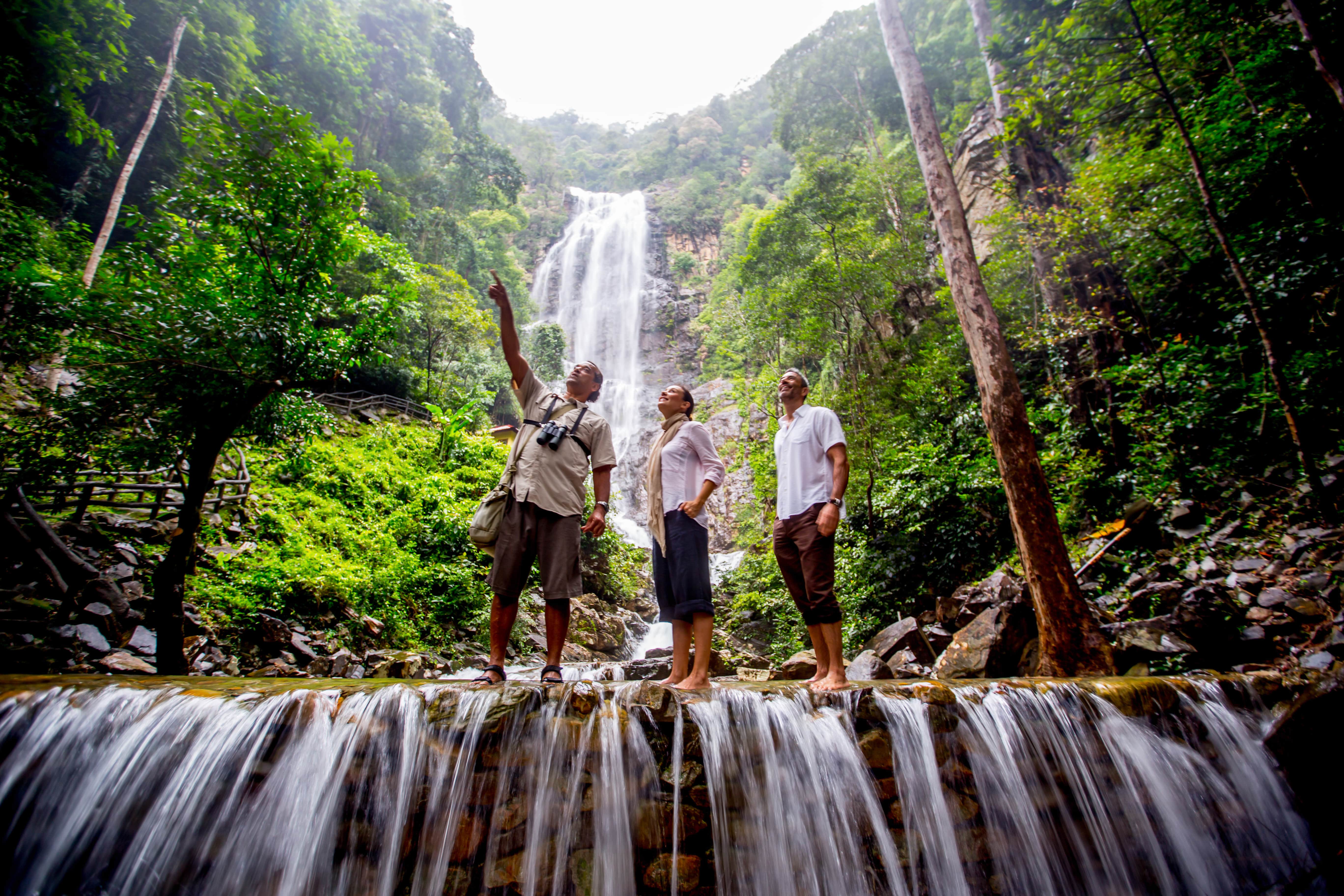 a couple with a tour guide pointing to the trees on top of a waterfall in the rainforest