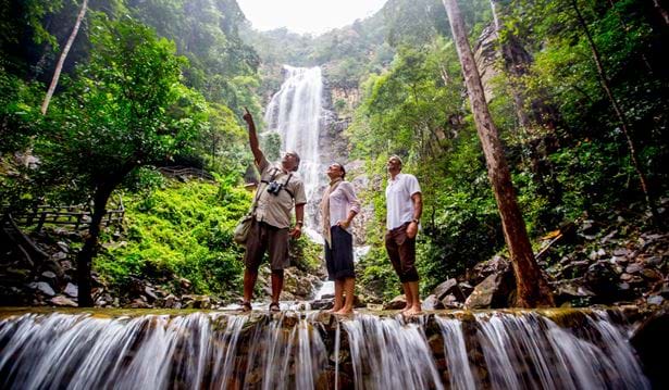 a couple with a tour guide pointing to the trees on top of a waterfall in the rainforest