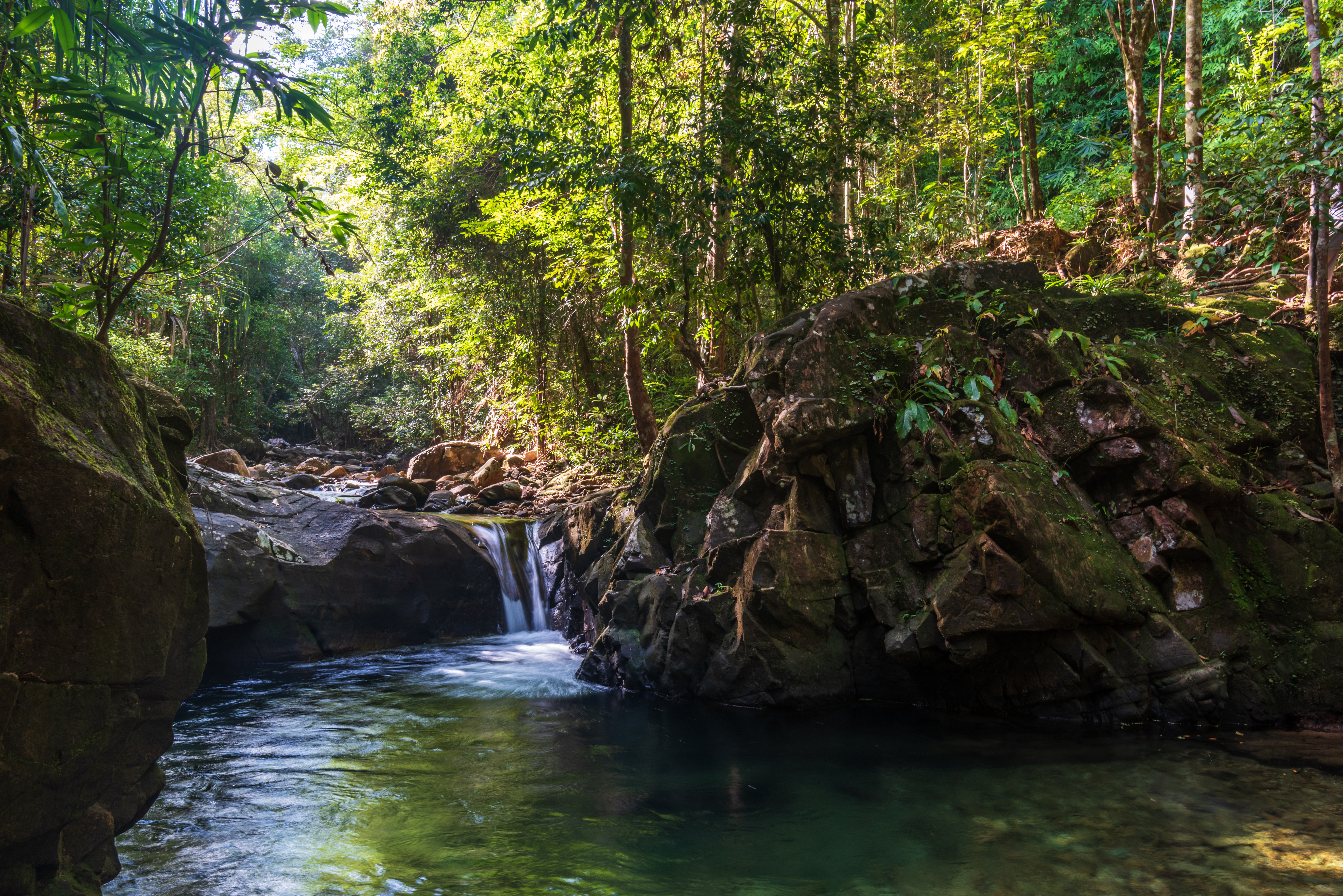 a creek with a waterfall in the daytime with the sun breaking through the rainforest trees