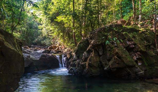 a creek with a waterfall in the daytime with the sun breaking through the rainforest trees