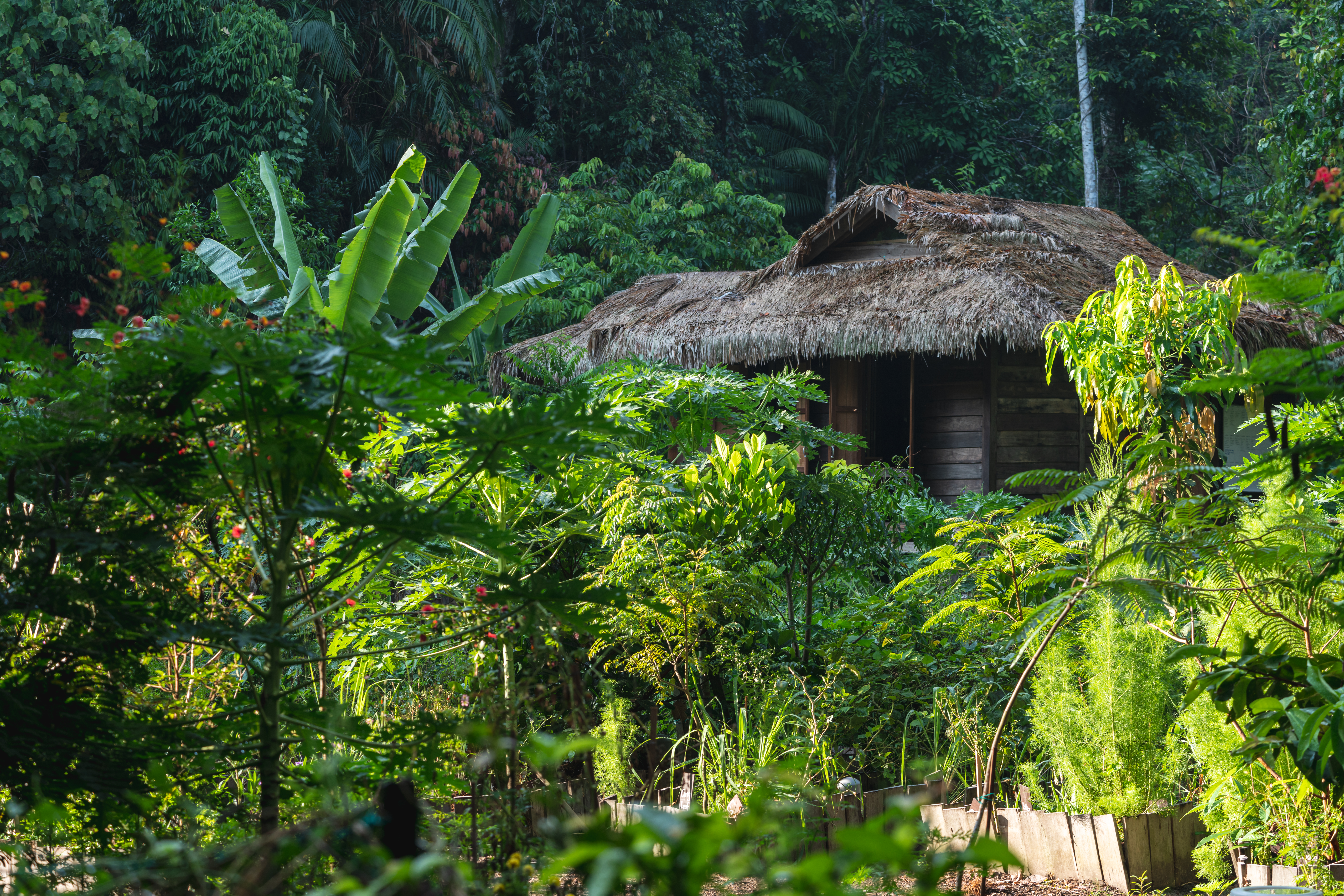 The Permaculture Garden