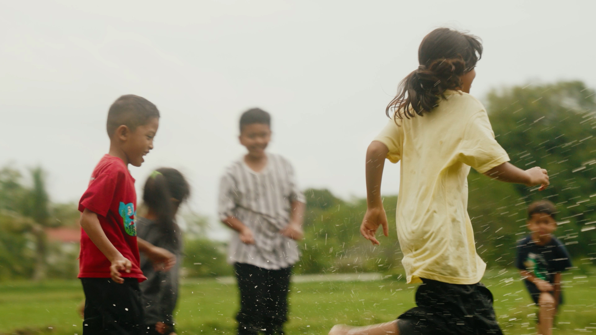 Youth in rice paddy field