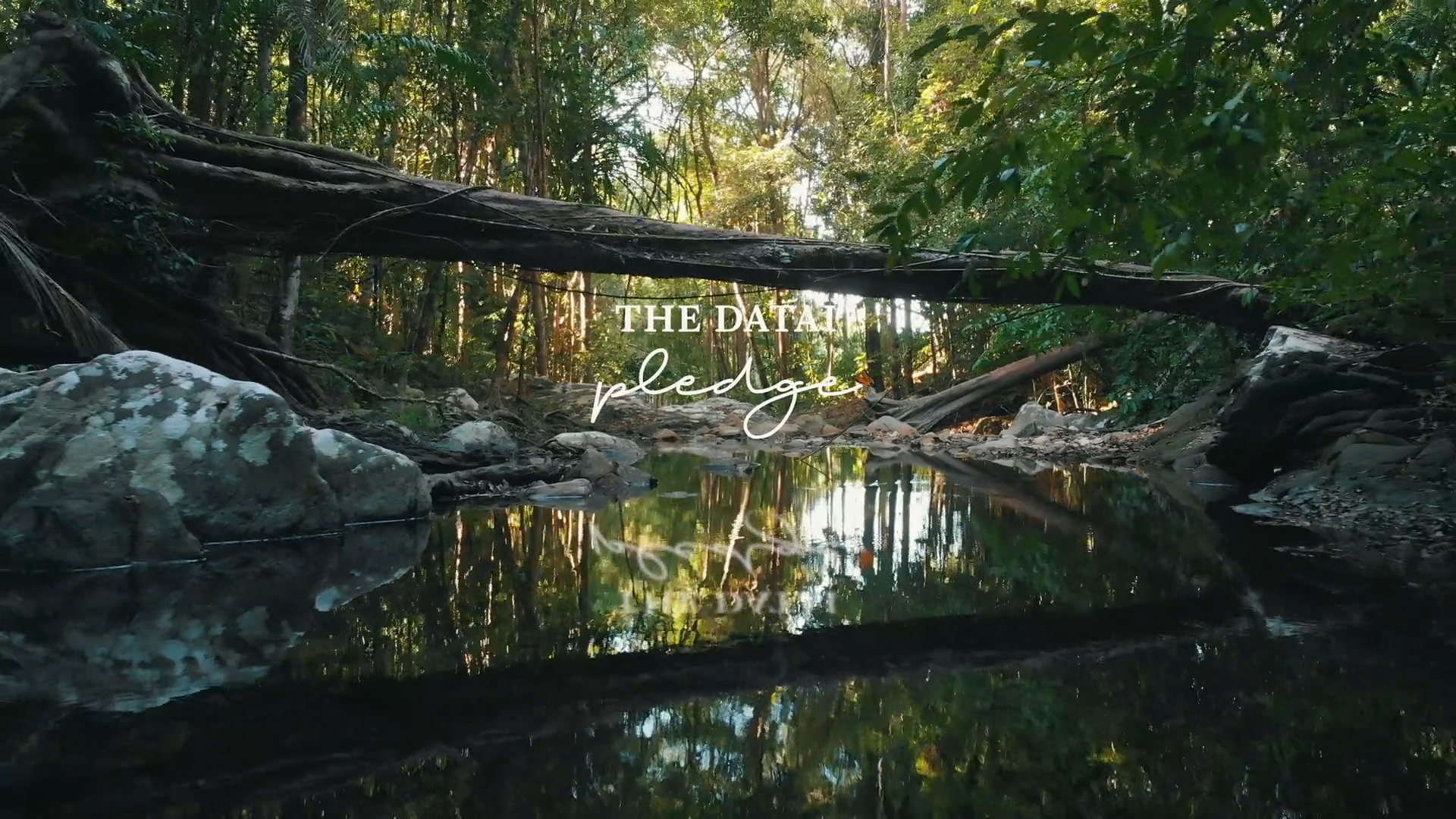 The Datai Pledge - Overview