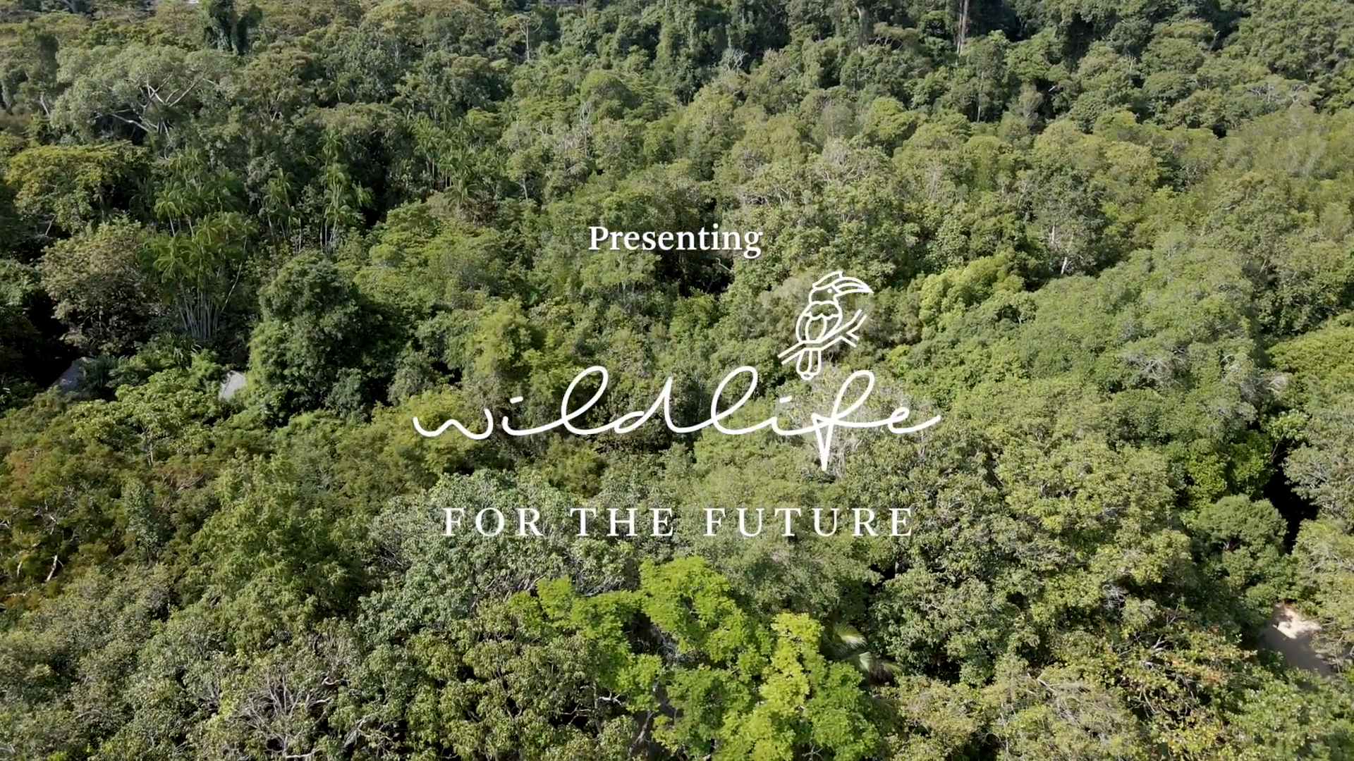 The Datai Pledge - Wildlife For The Future Film