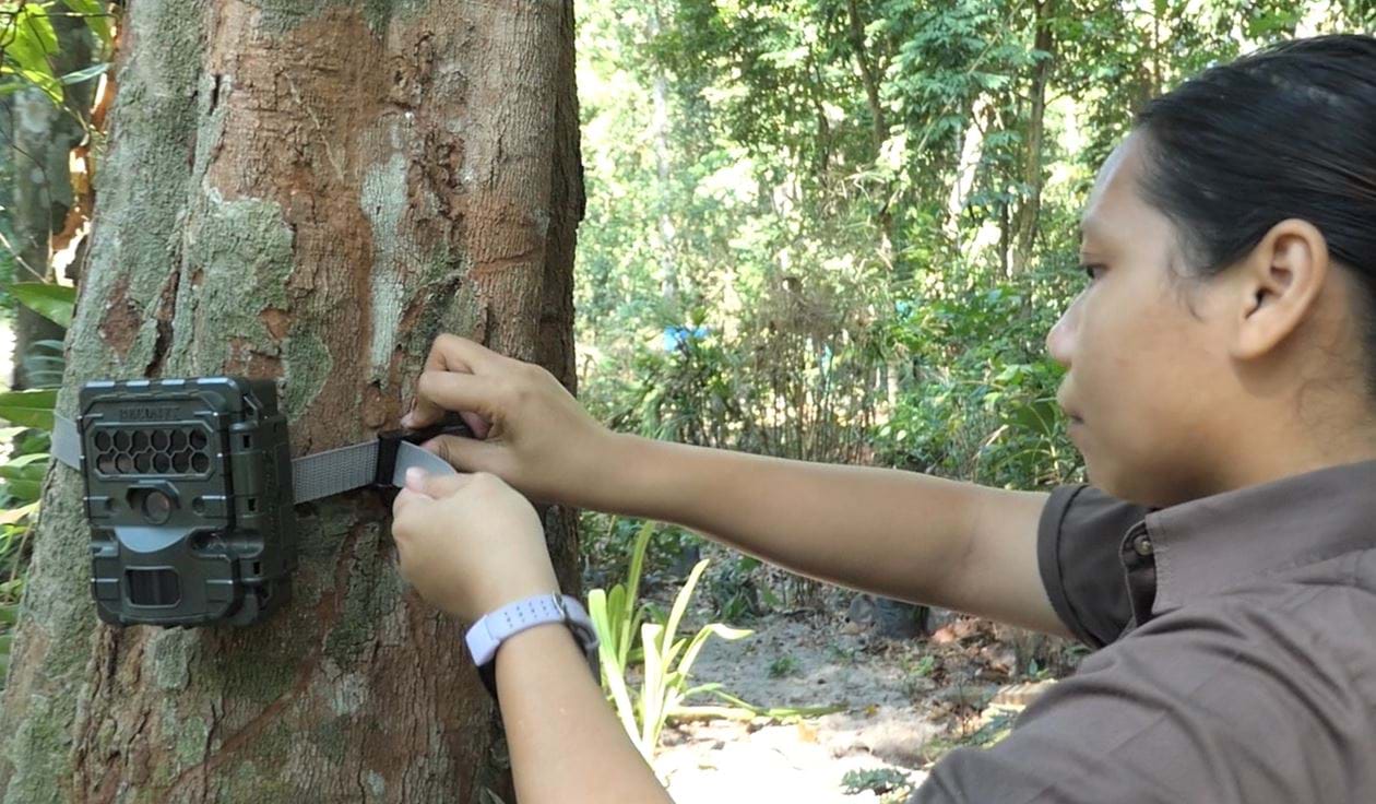Installing Wildlife Camera Traps